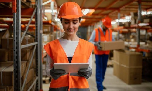 profissional interno para cuidar das importações